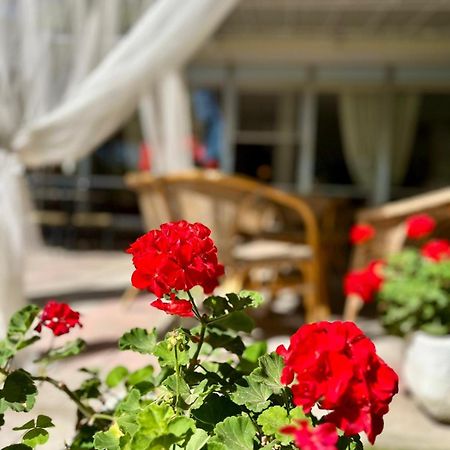 Hotel San Pietro Cervia Exterior photo