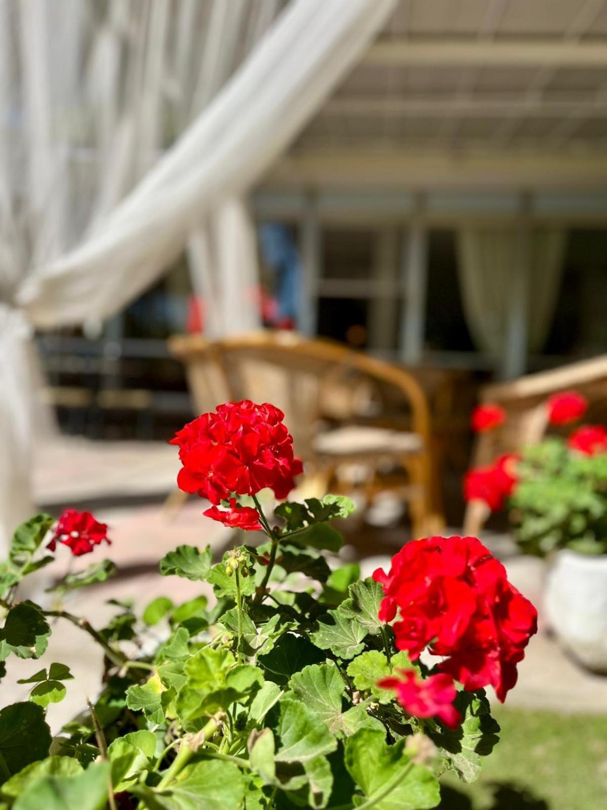 Hotel San Pietro Cervia Exterior photo
